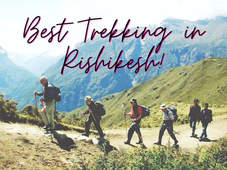 Best Trekking in Rishikesh!